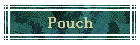 Pouch