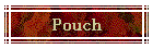 Pouch